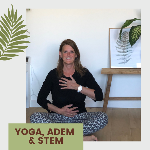 yoga, adem & stem